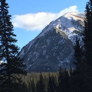 Meet your Posher, Cathie